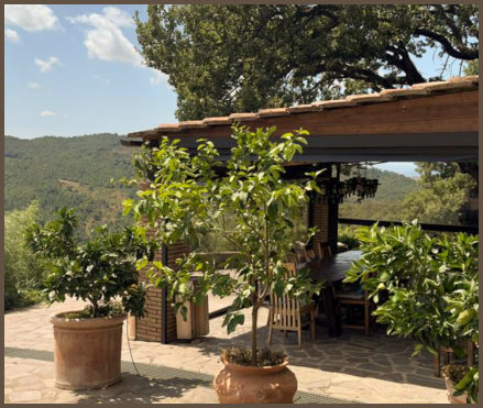 The land around Villa at Monte Faete Reserve, Tuscany